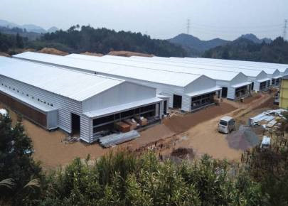 XGZ Light steel poultry broiler farm